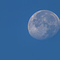 Celestial Glow in Daylight